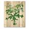 Designart - Vintage Drawing of Wild Plants - Traditional Print on Natural Pine Wood